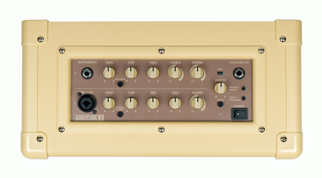 Blackstar ACOUSTIC:CORE 30W Amp