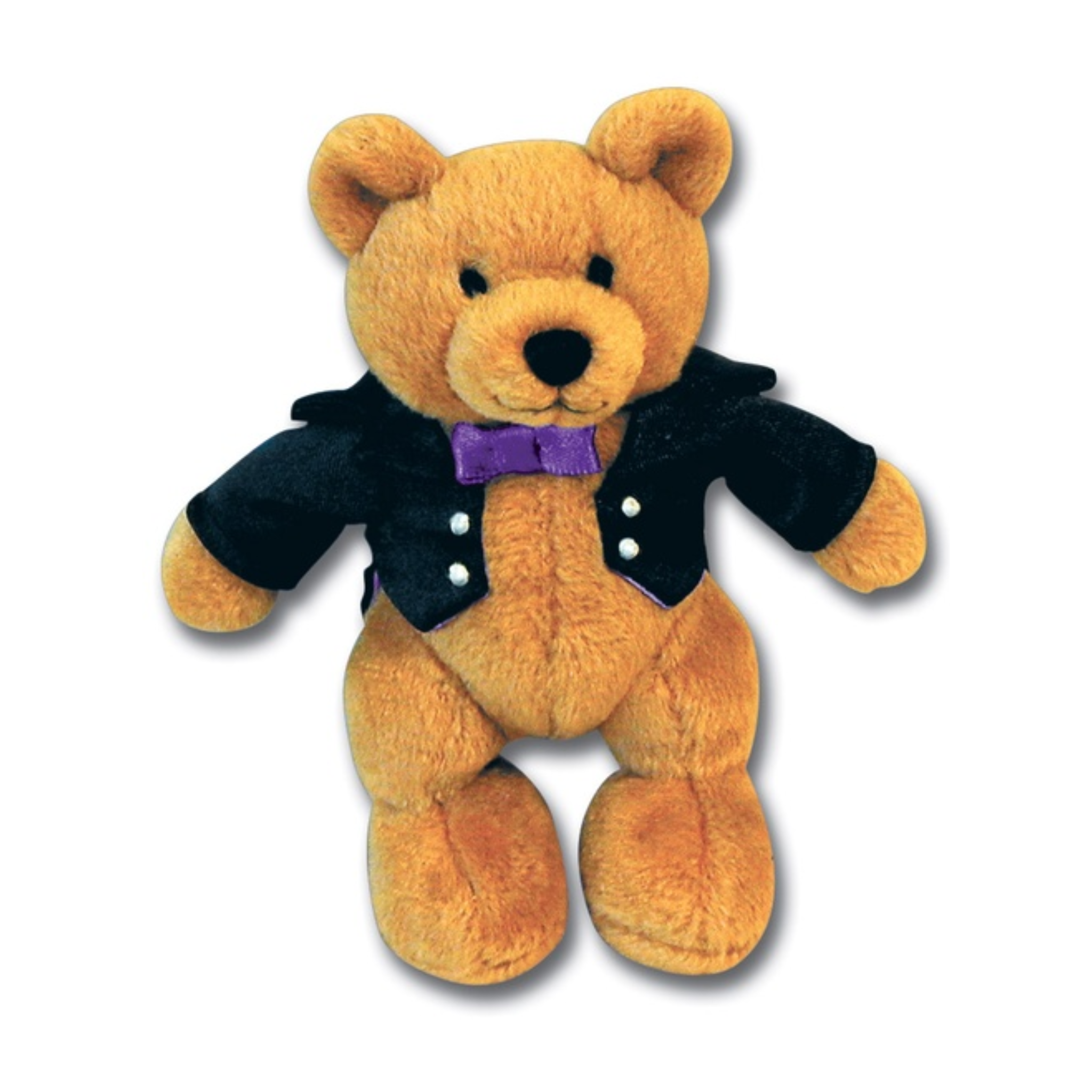Music for Little Mozarts Toy, Beethoven Bear