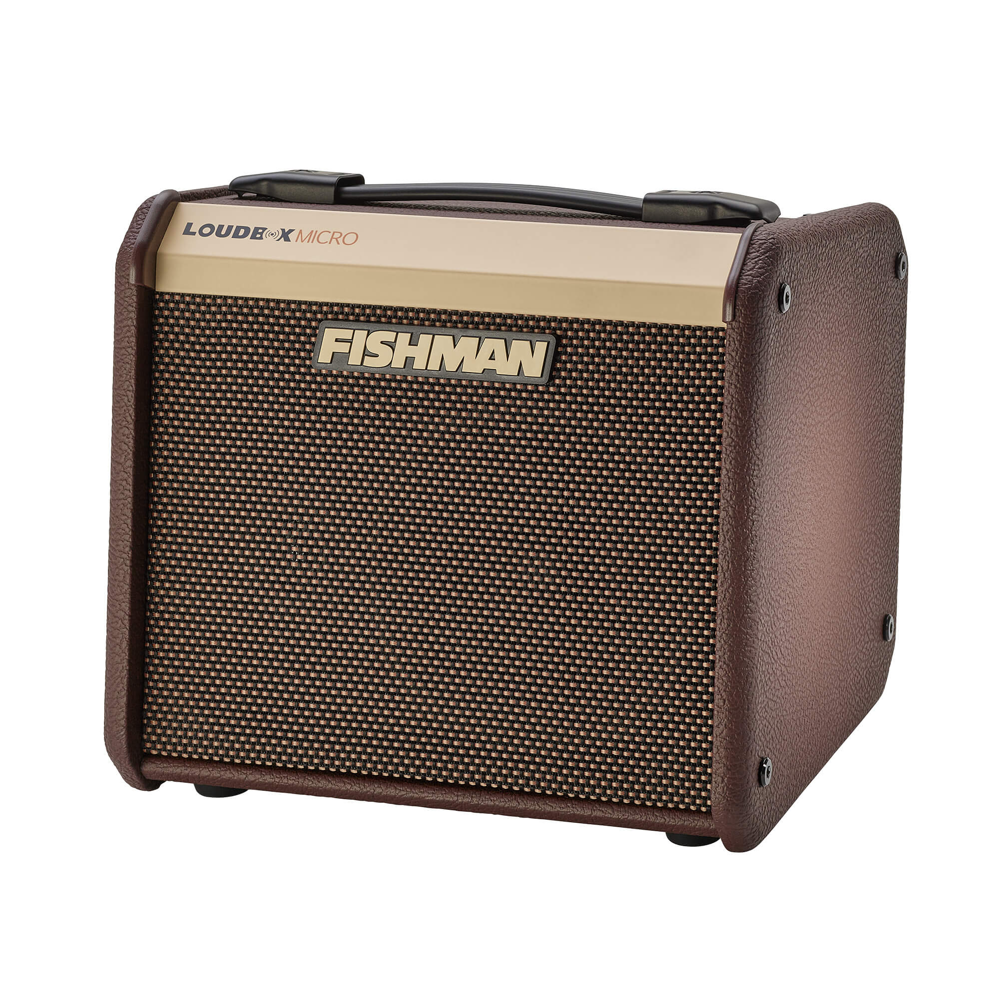 Fishman Loudbox Micro 40W Amp