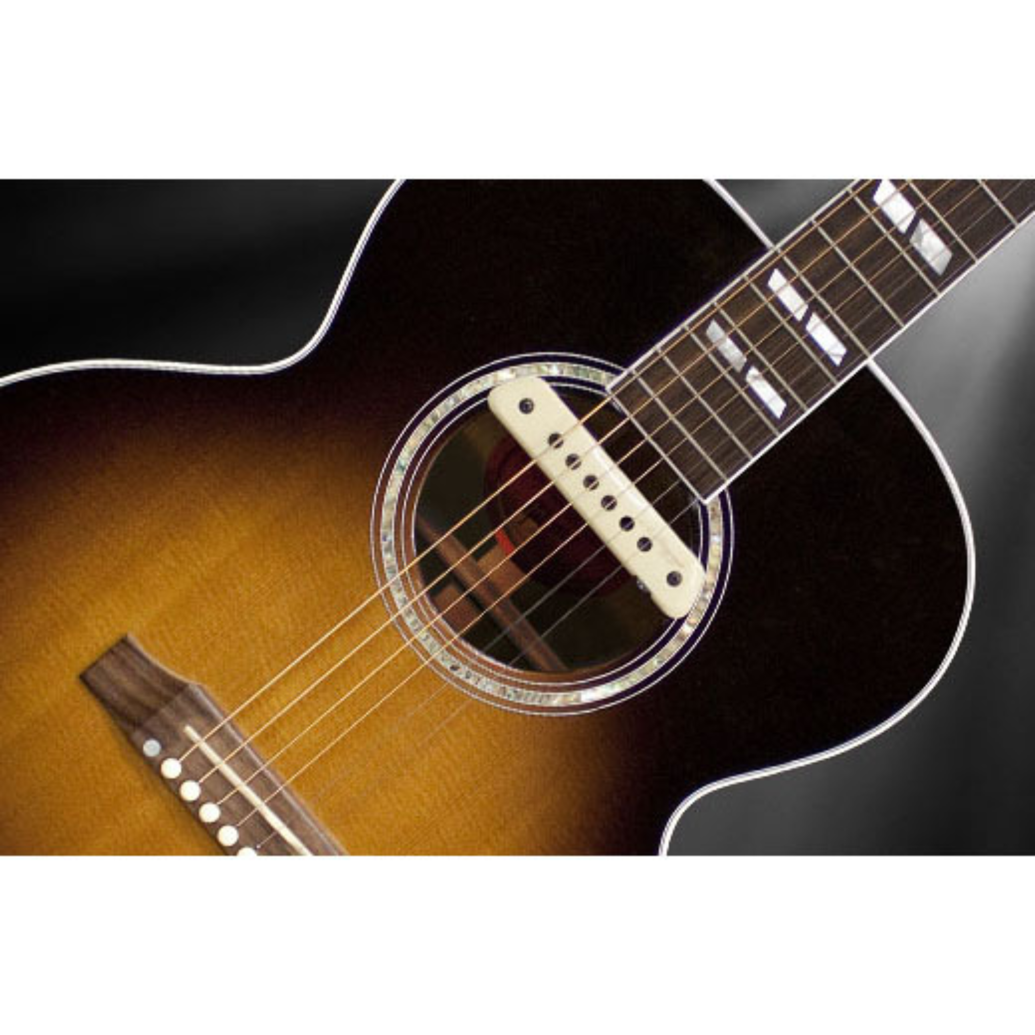 LR Baggs M1 Soundhole Body-Sensitive Magnetic Pickup