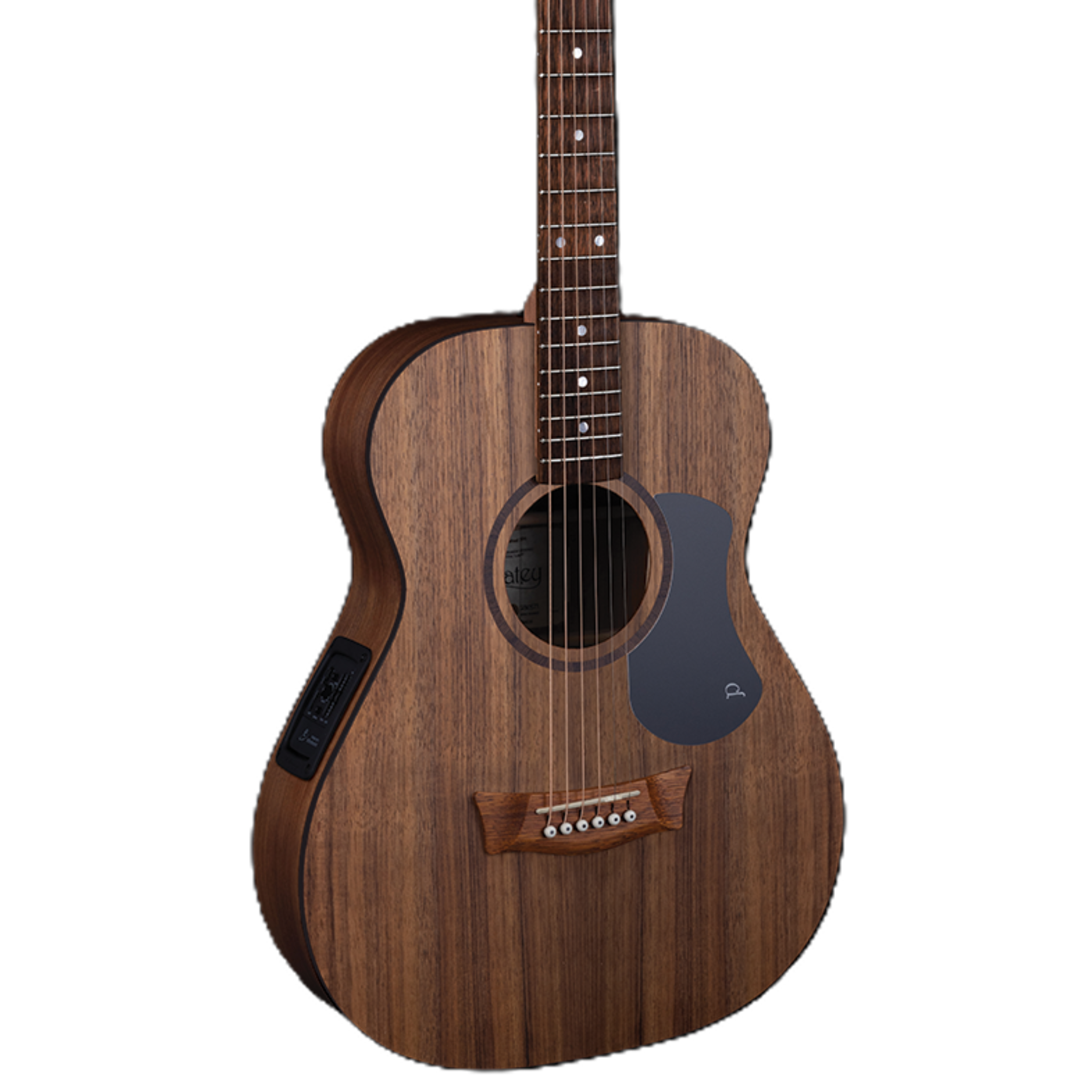 Pratley Classic Series Dreadnought Acoustic/Electric Guitar Mini, Blackwood