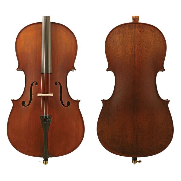 Enrico Student Plus II Cello Outfit