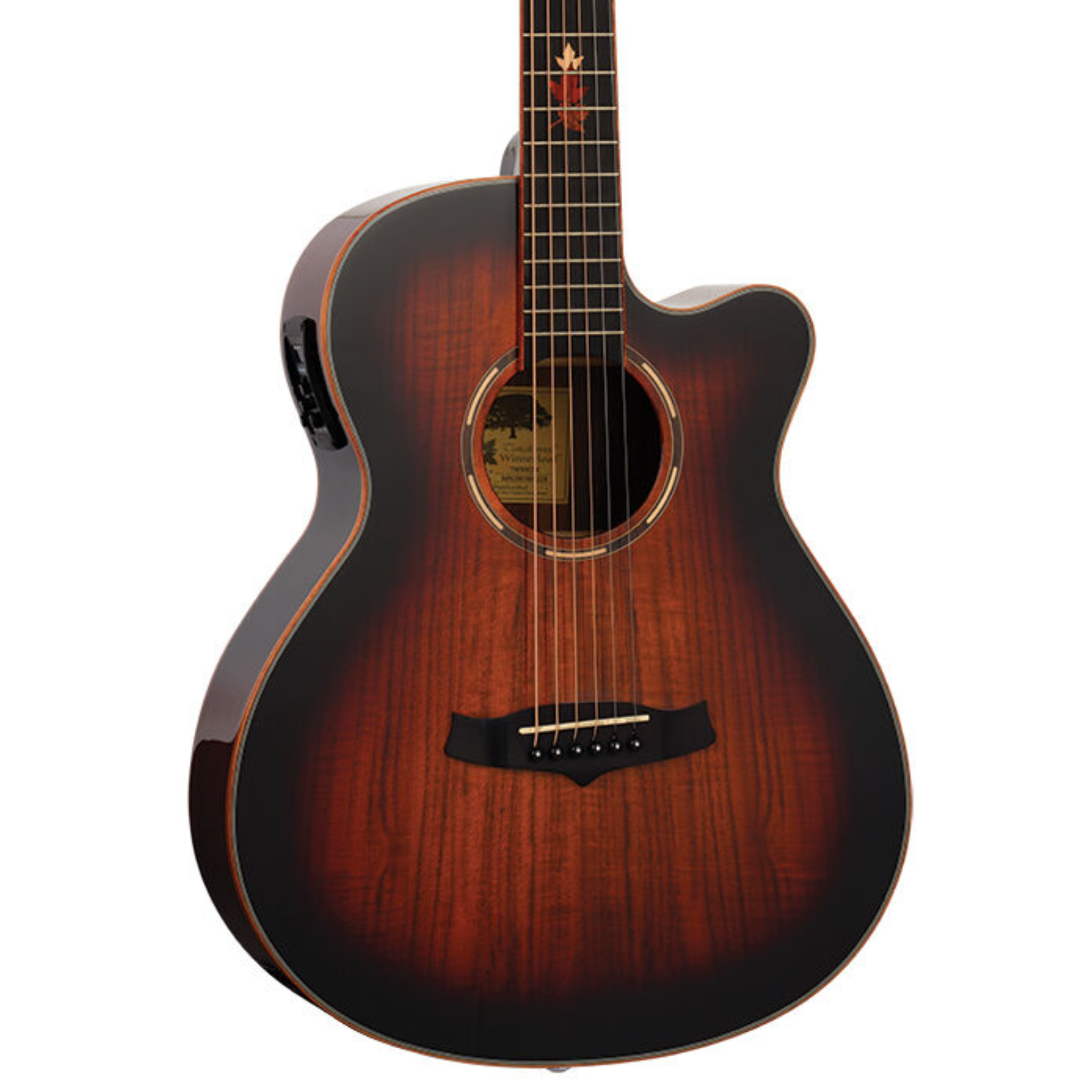 Tanglewood Winterleaf Exotic Superfolk C/E Acoustic Guitar