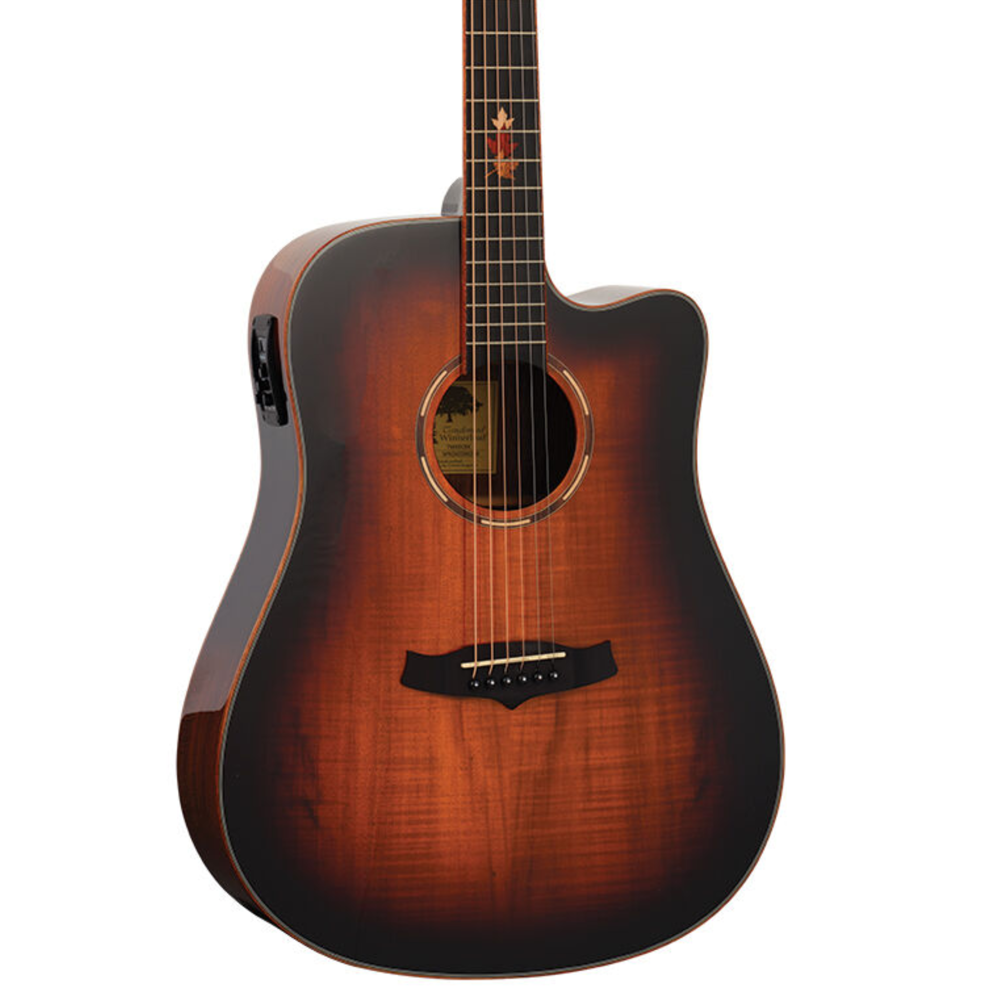 Tanglewood Winterleaf Exotic Dreadnought C/E Acoustic Guitar