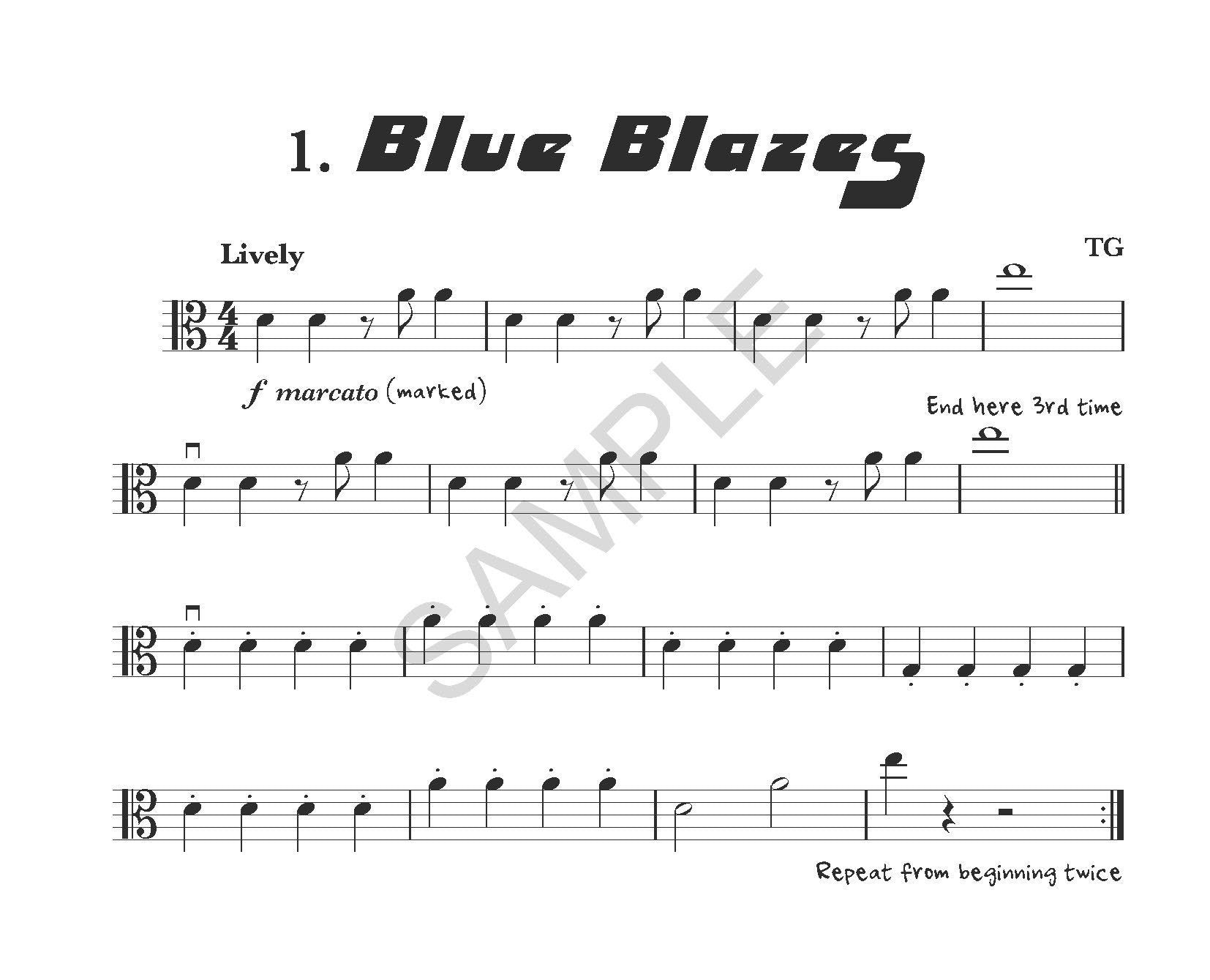 Vamoosh Viola Book 1.5