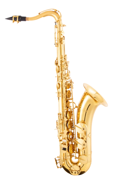 Leblanc Student Tenor Saxophone in B♭ LTS211