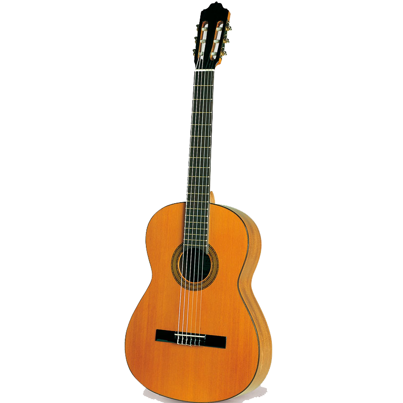 Esteve 4ST Nylon String Guitar, Solid Spruce Top