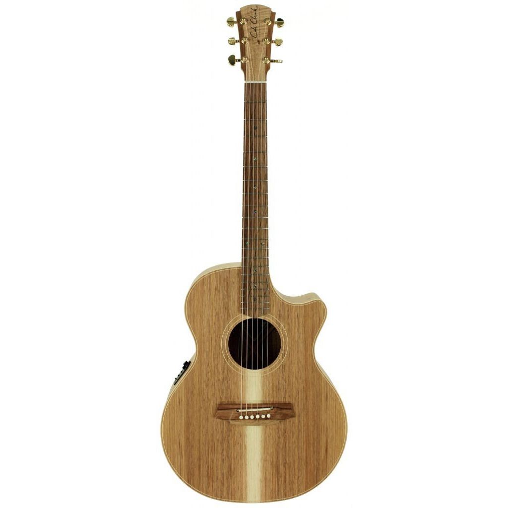 Cole Clark AN2EC Acoustic Electric, All Blackwood