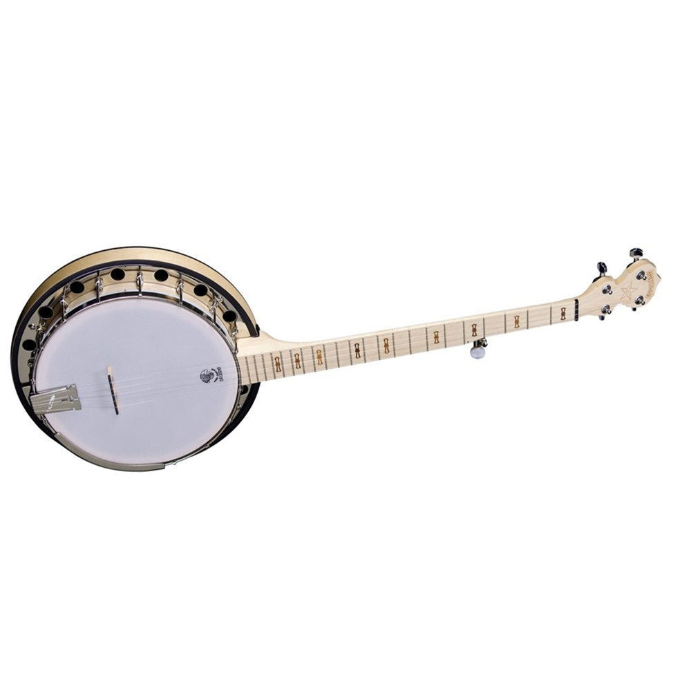 Deering Goodtime Two, 5 String Banjo w/Resonator