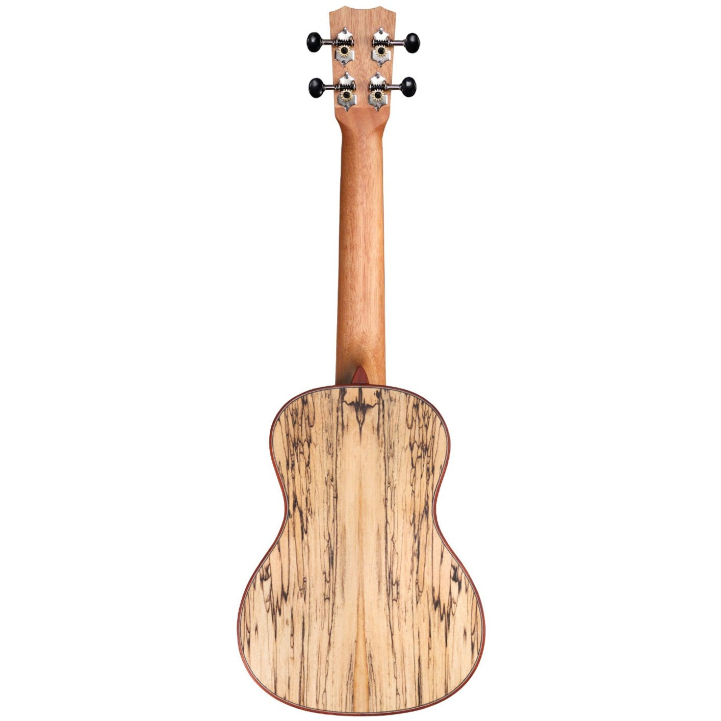 Cordoba 24C Concert Ukulele