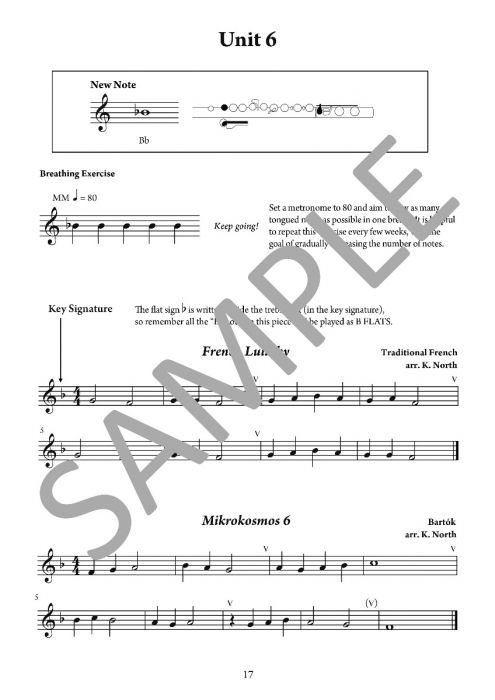 The Young Flute Player Book 6 - Adult Learners