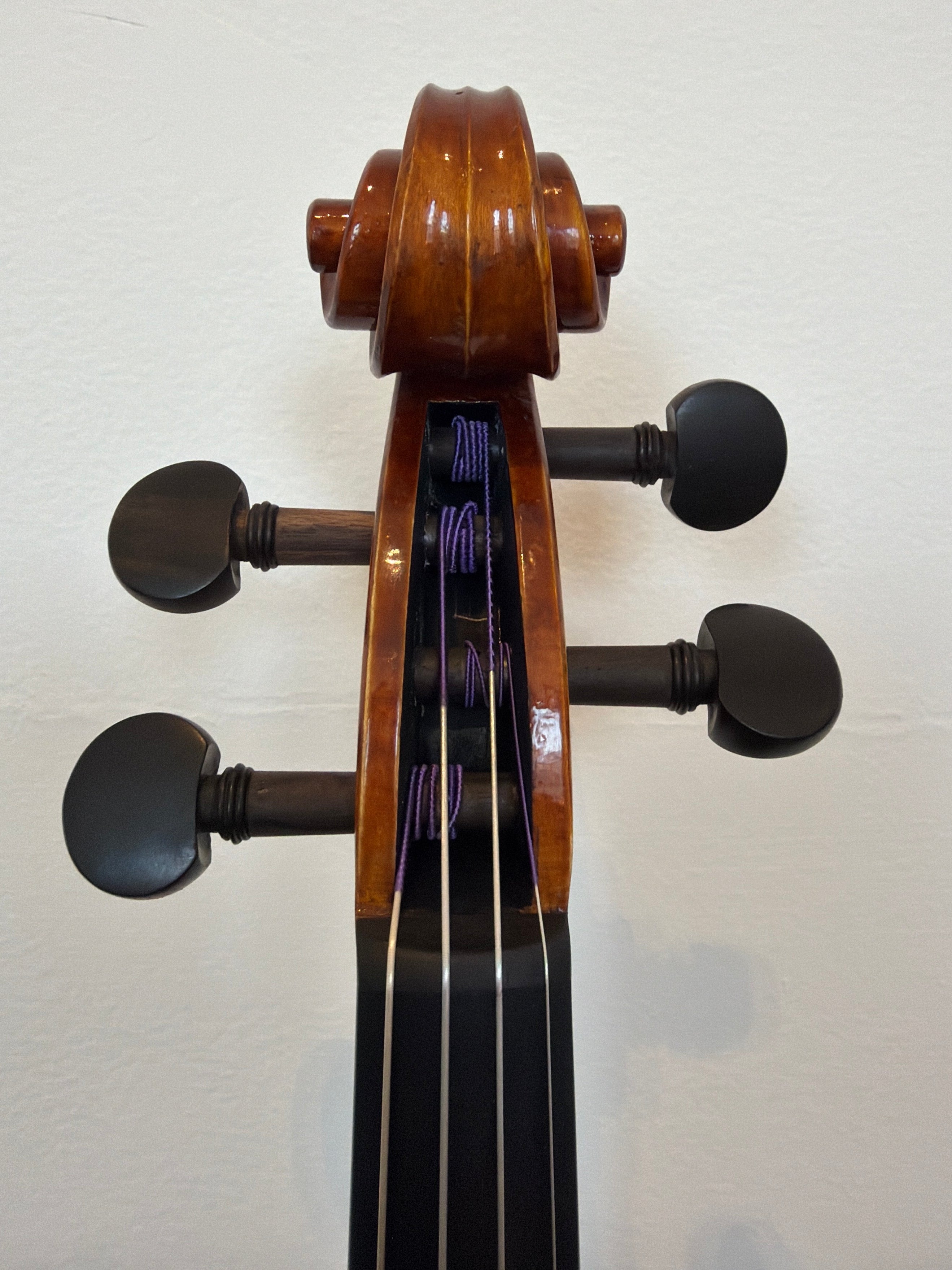 Ottavio by Gazzani Explorer Series Violin 4/4