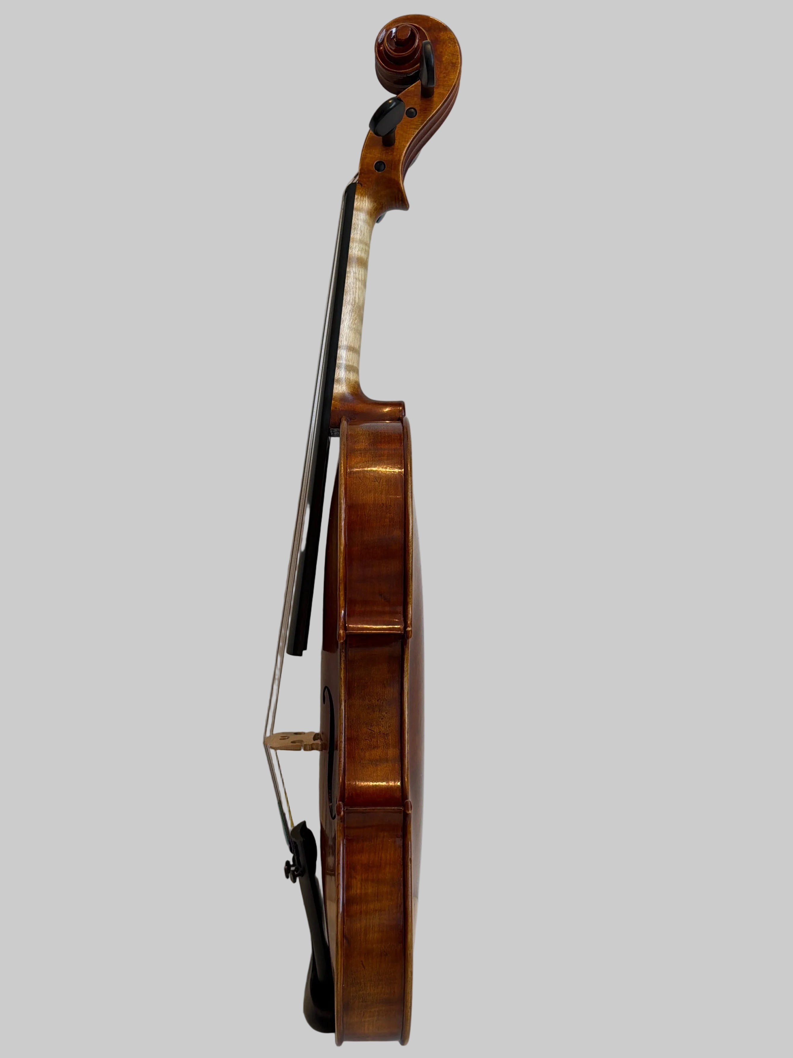 Ottavio by Gazzani Explorer Series Violin 4/4