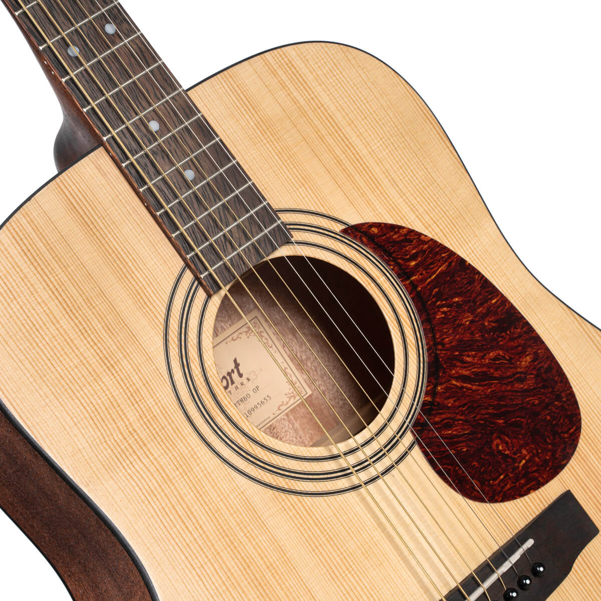 Cort Earth 70 Guitar Package
