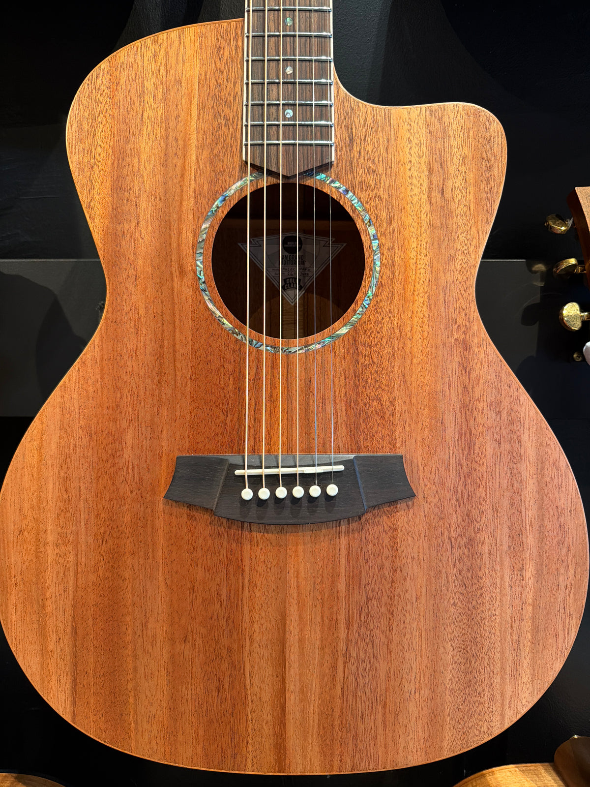 Cole Clark Studio AN1EC Mahogany w/ Heavy Duty Gig Bag