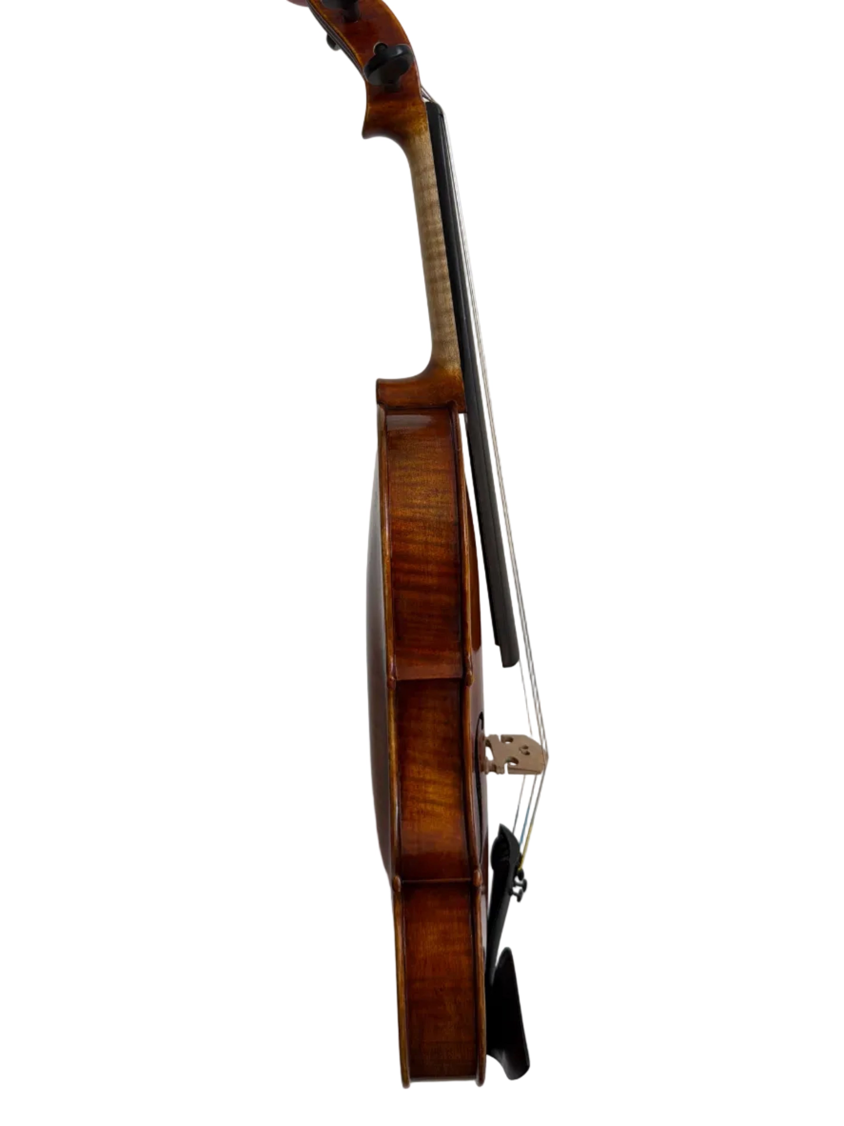 Ottavio by Gazzini Virtuoso Series Violin 4/4