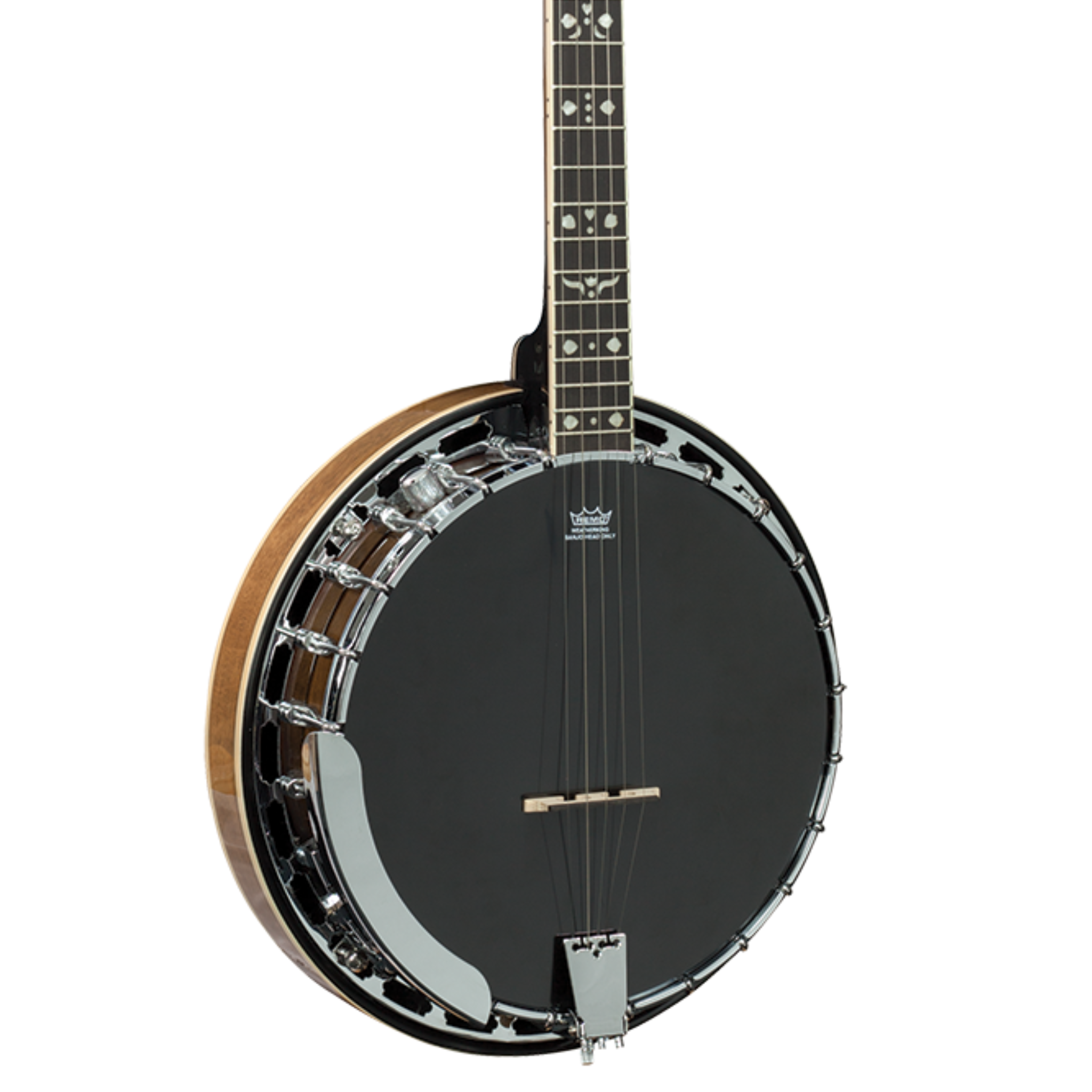 Barnes & Mullins Rathbone Banjo w/ Pickup