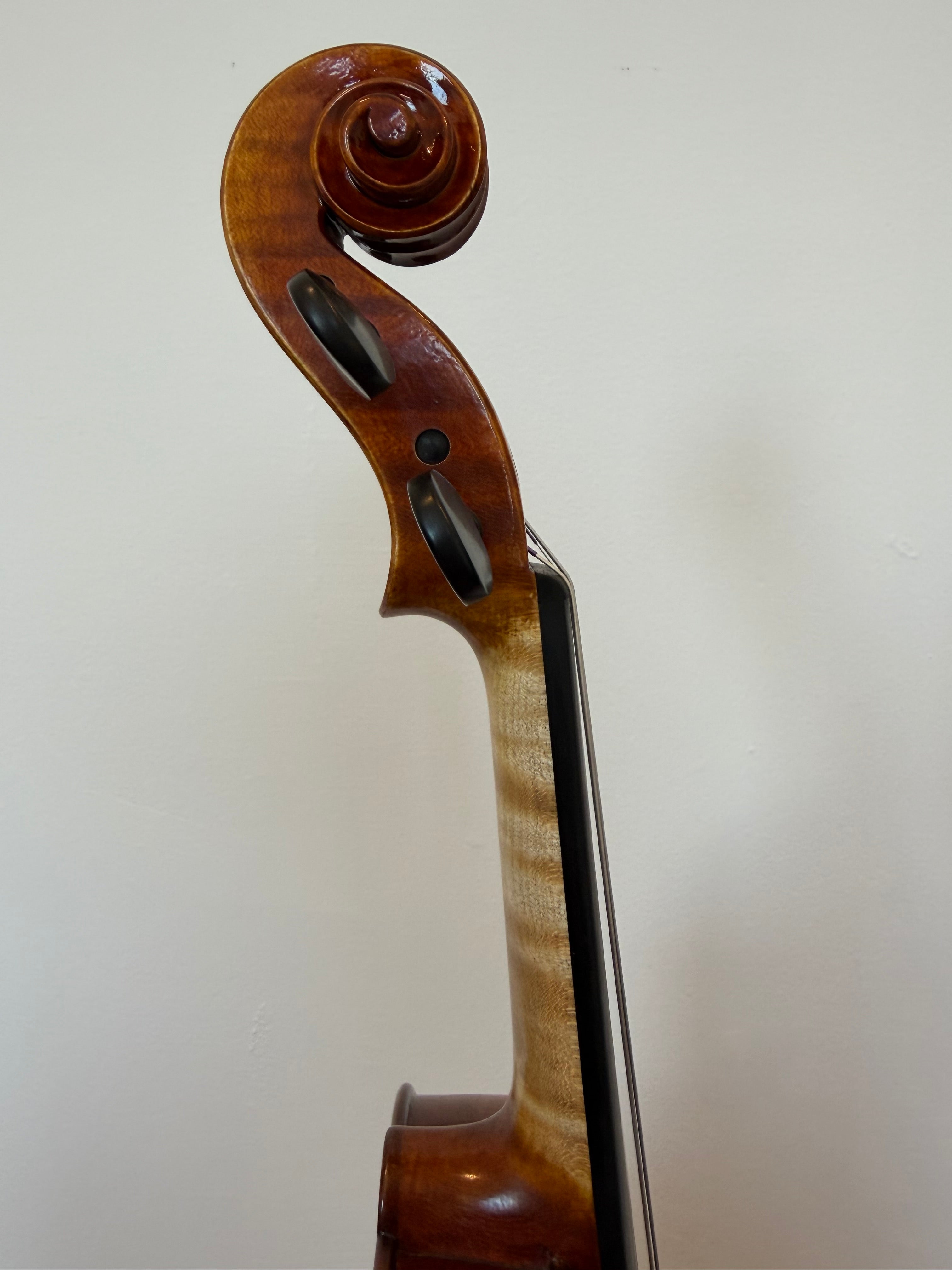 Ottavio by Gazzani Explorer Series Violin 4/4