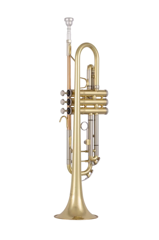 Bach BTR-212 Student Trumpet