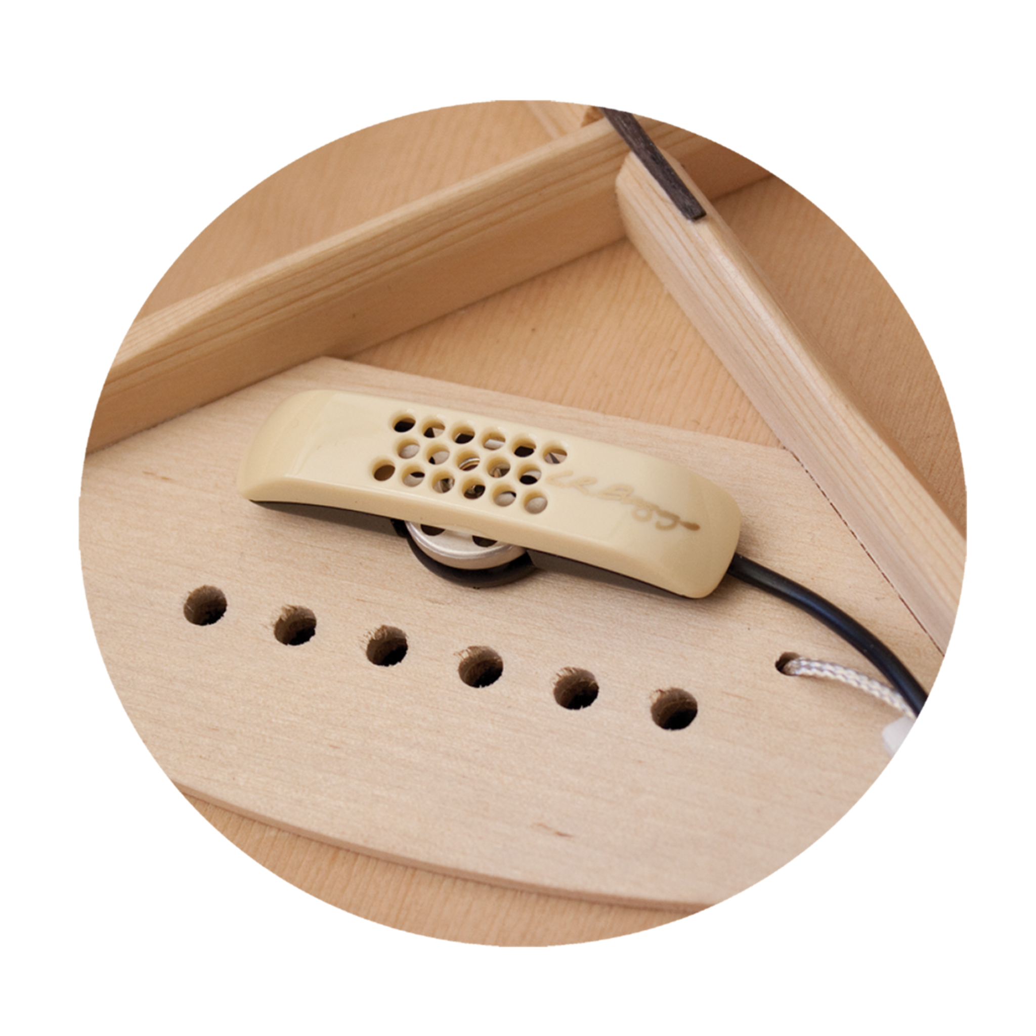 LR Baggs Anthem SL Acoustic Guitar Pickup System with Element & Microphone