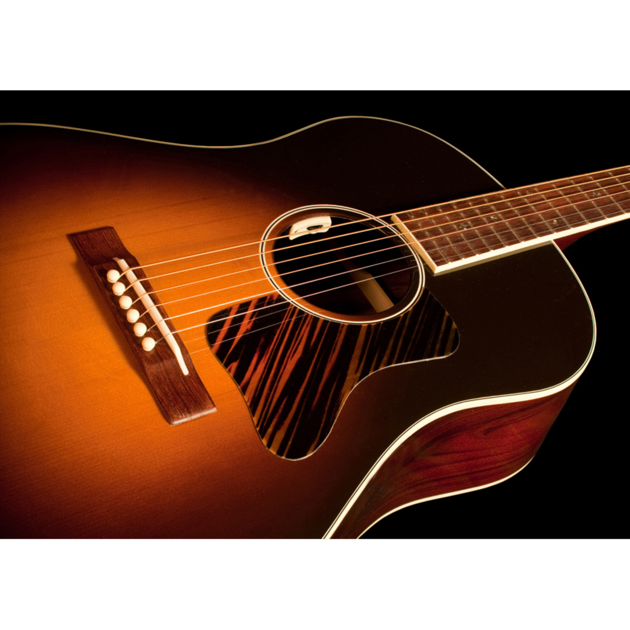 LR Baggs Anthem SL Acoustic Guitar Pickup System with Element & Microphone