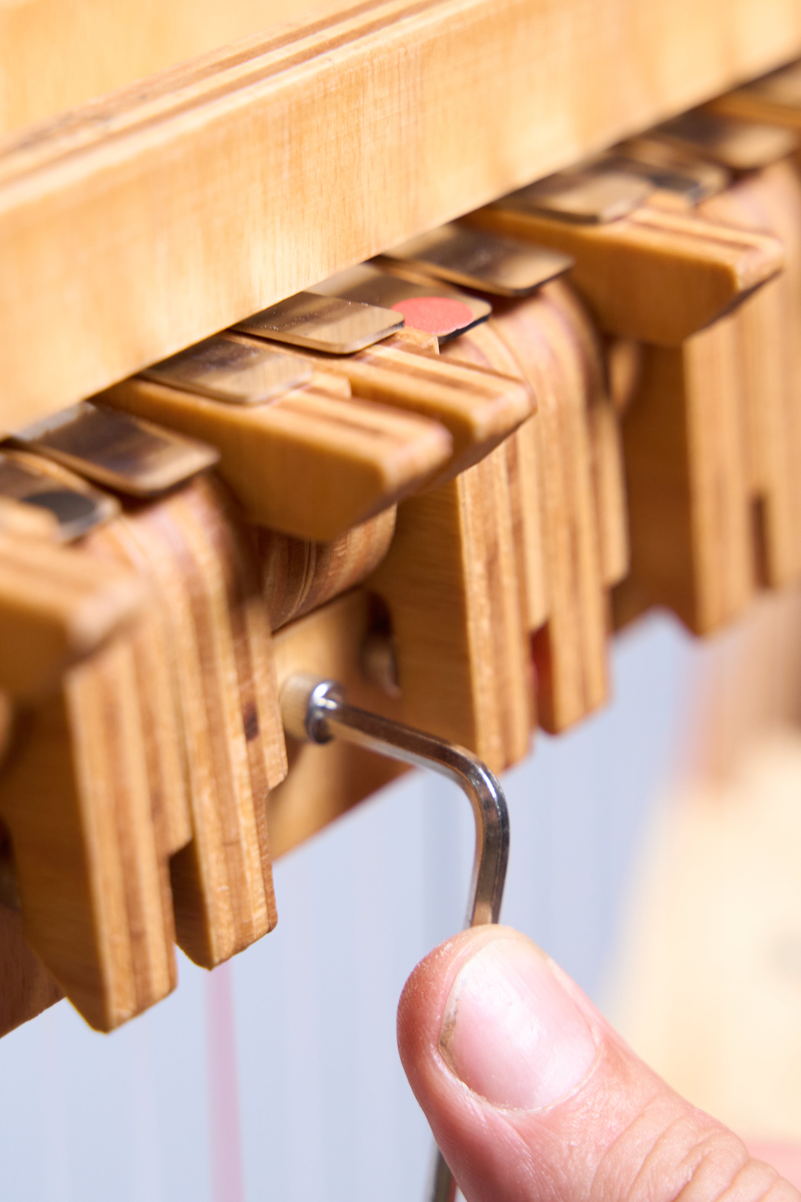 Harp-E - 24 Sting Harp with Carry Bag and carry straps included