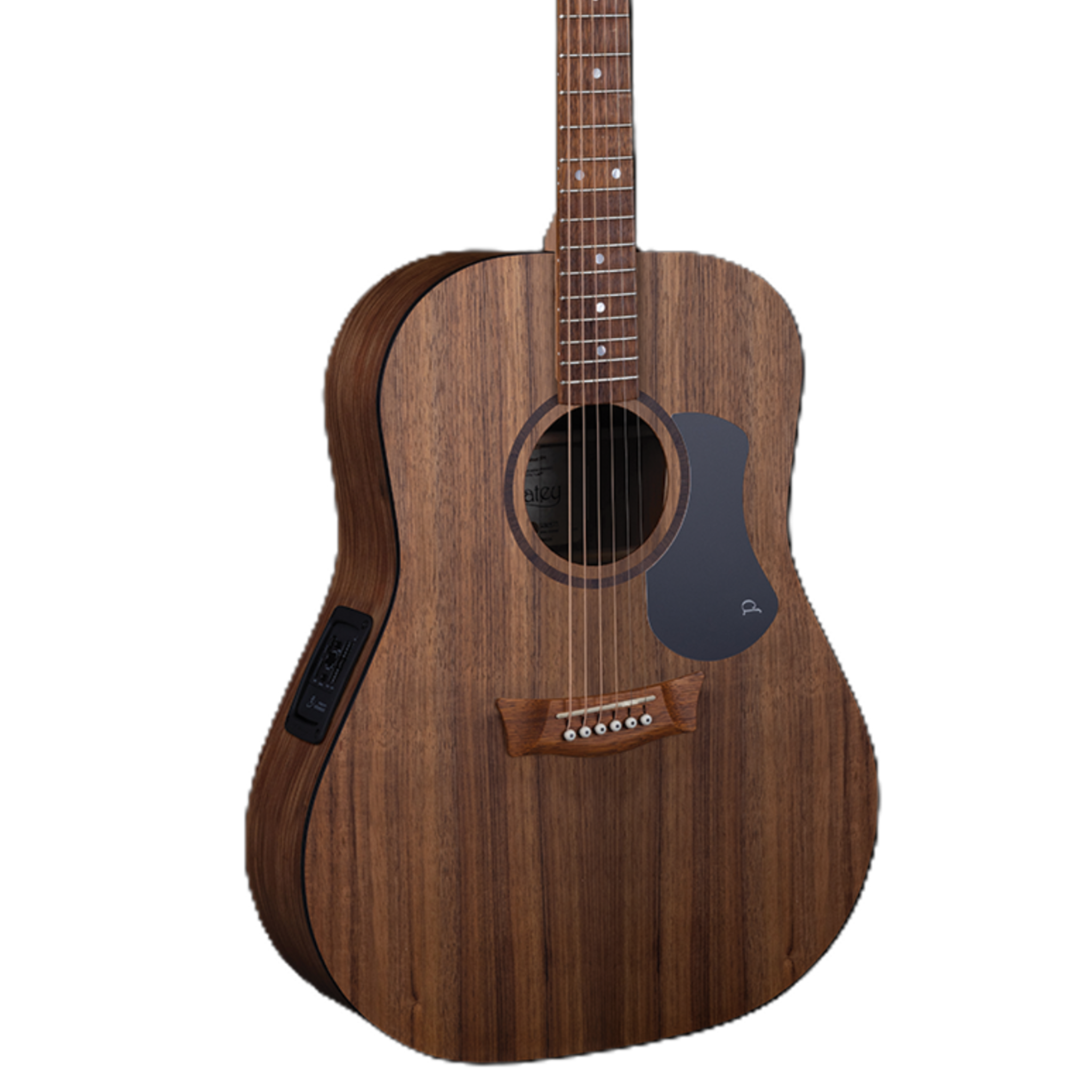 Pratley Classic Series Dreadnought Acoustic/Electric Guitar, Blackwood