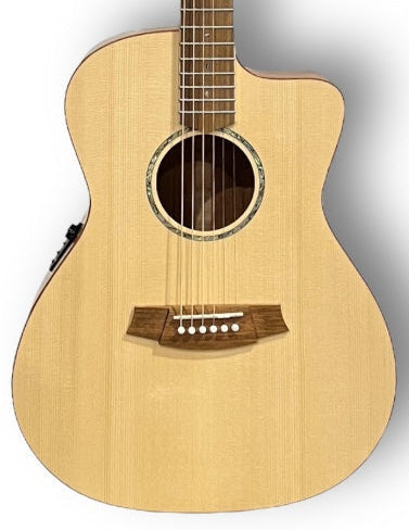 Cole Clark Studio AN1EC Spruce Mahogany w/ Heavy Duty Gig Bag (Copy)