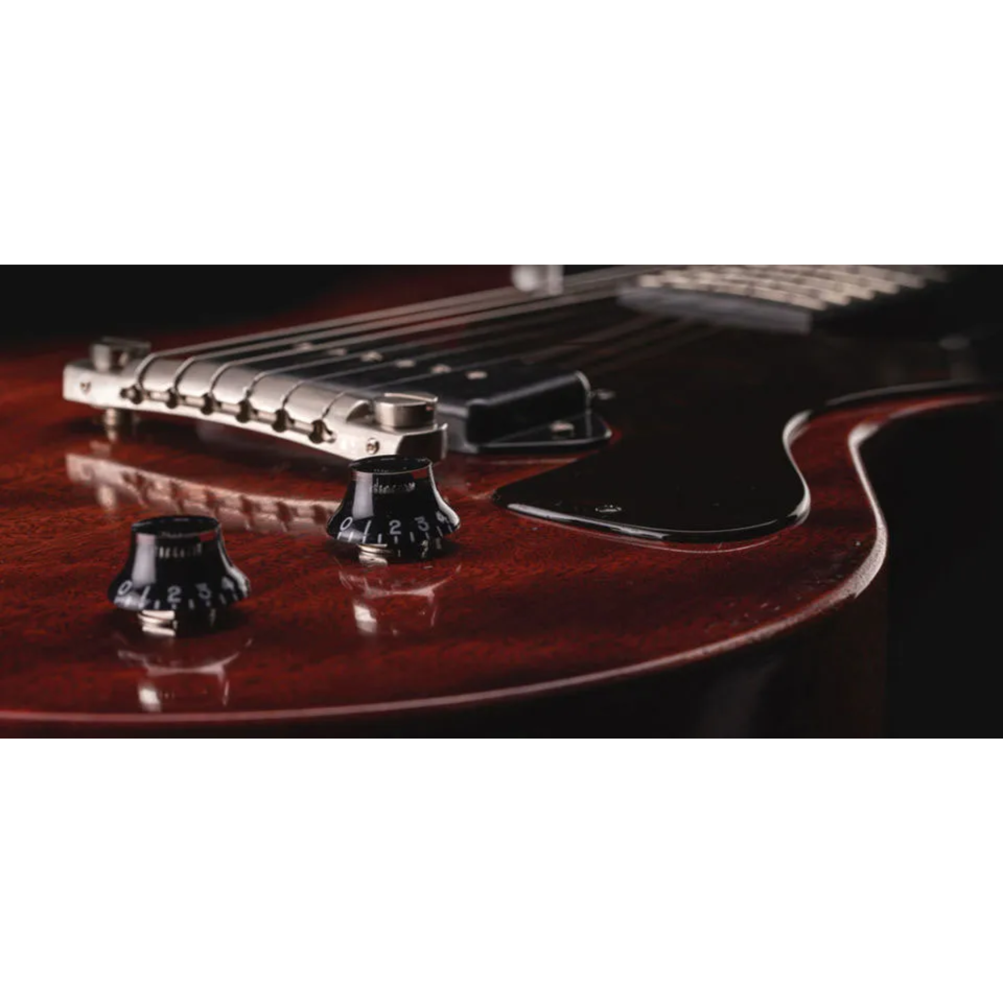 Eastman Guitars SB55DC/V Solid Body Electric