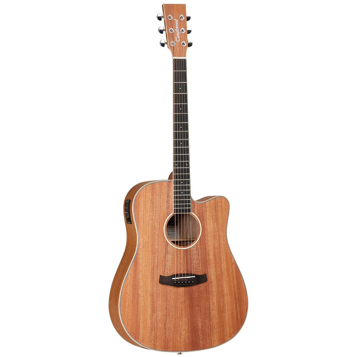 Tanglewood Union Dreadnought Acoustic Guitar