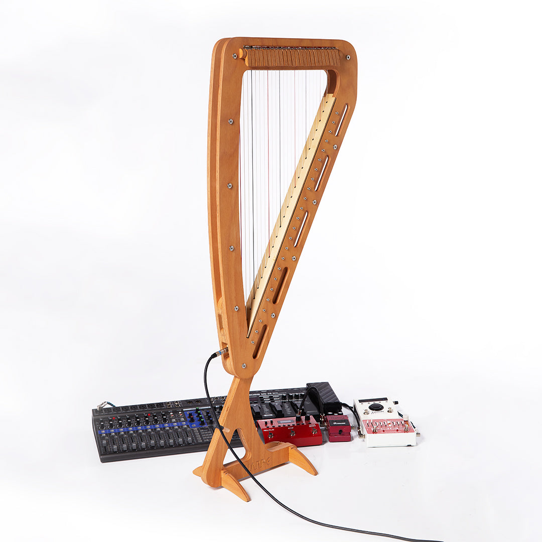Harp-E - 24 Sting Harp with Carry Bag and carry straps included