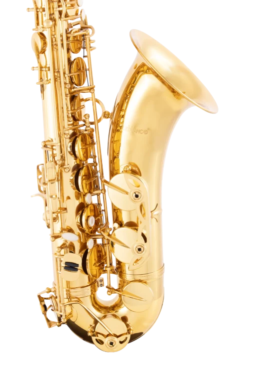 Leblanc Student Tenor Saxophone in B♭ LTS211