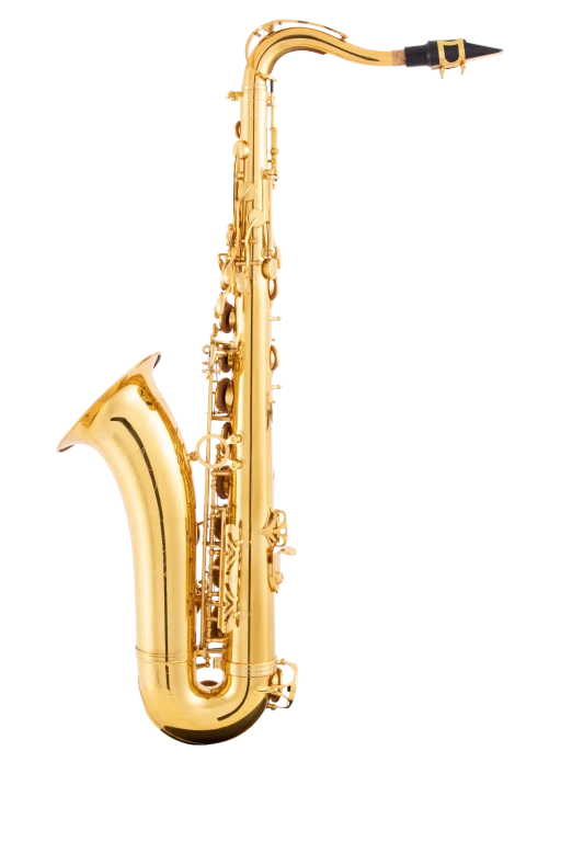 Leblanc Student Tenor Saxophone in B♭ LTS211
