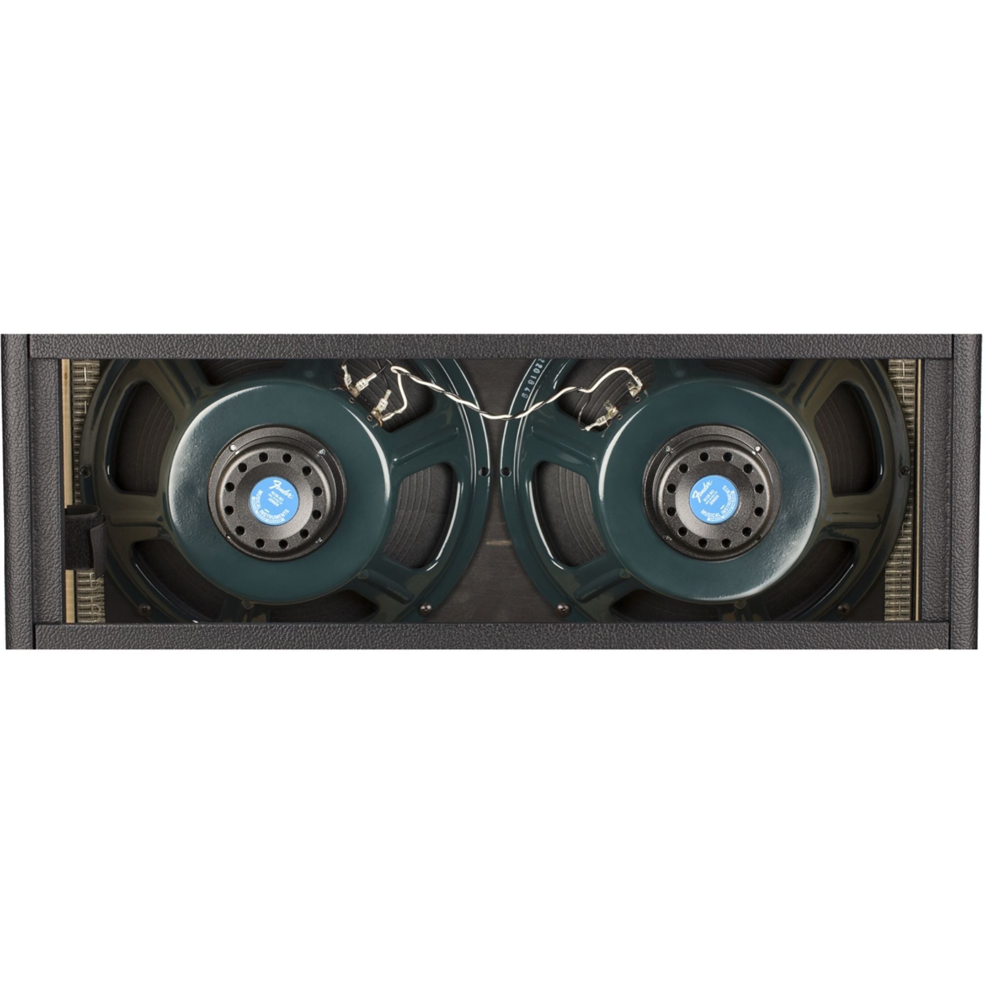 Fender Tone Master Twin Reverb Amp