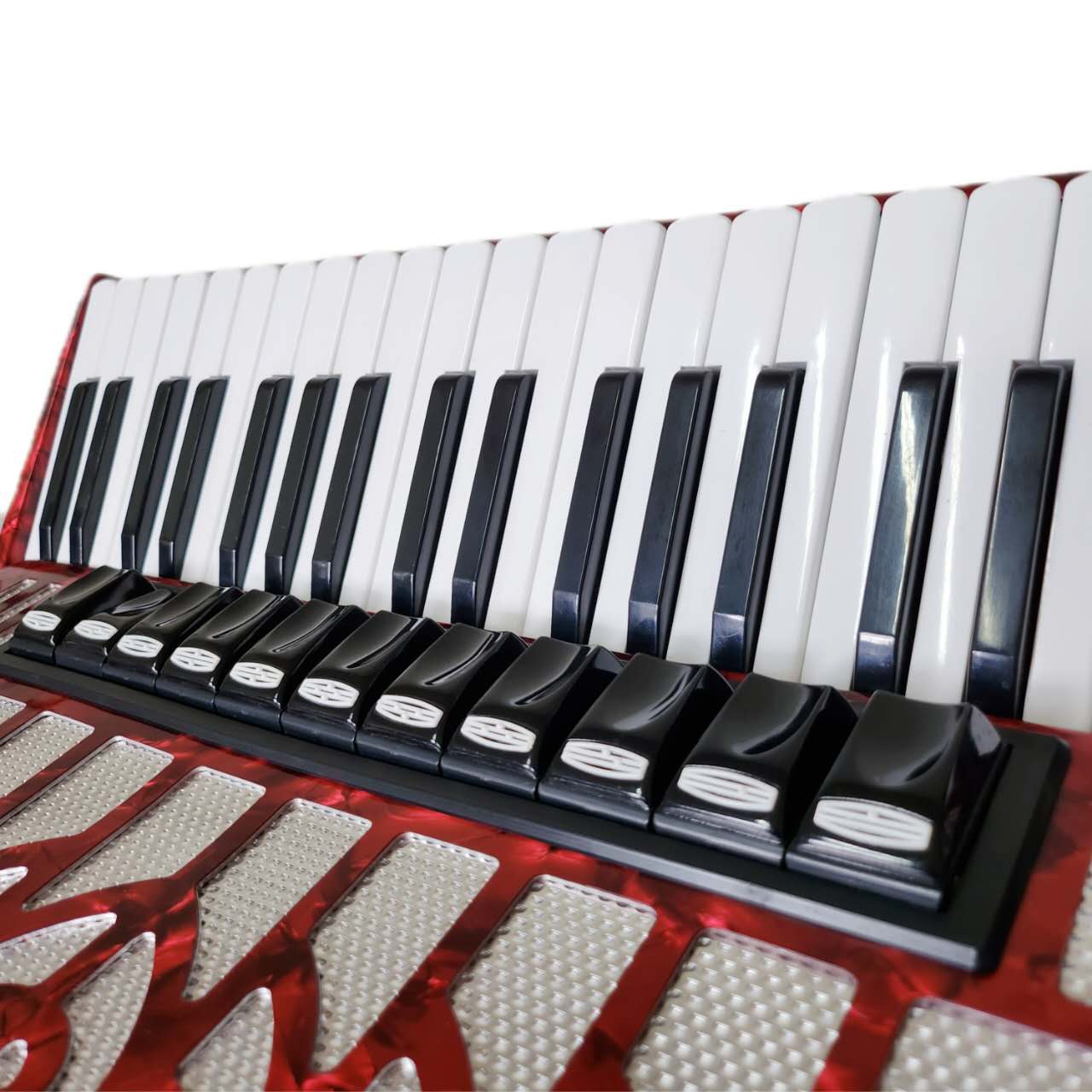 Delicia 120 Bass Choral 24 Piano Accordion | Second-Hand