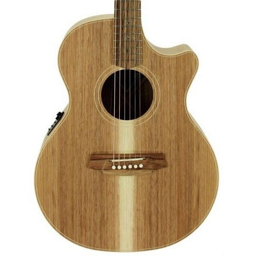 Cole Clark AN2EC Acoustic Electric, All Blackwood