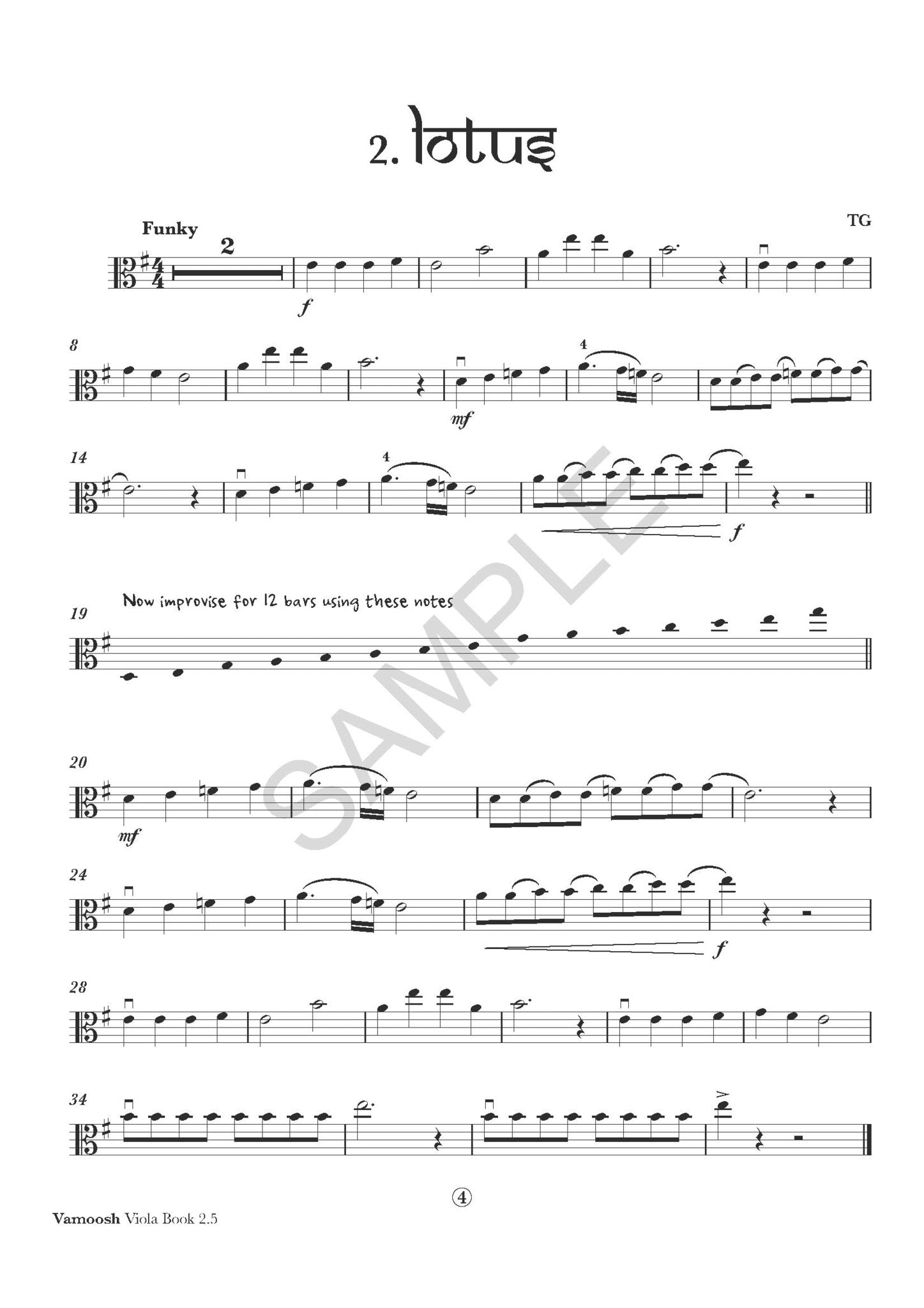 Vamoosh Viola Book 2.5