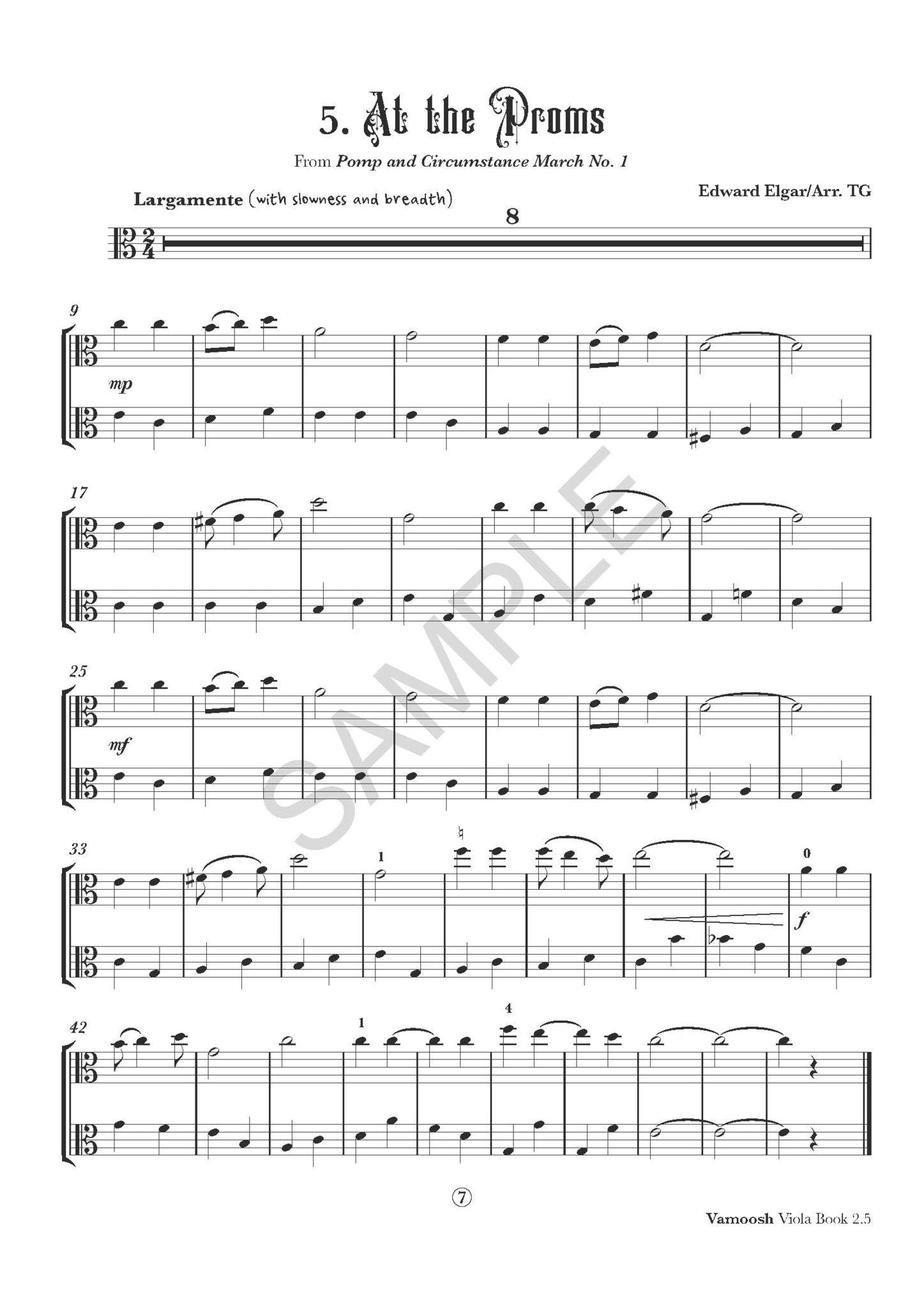 Vamoosh Viola Book 2.5