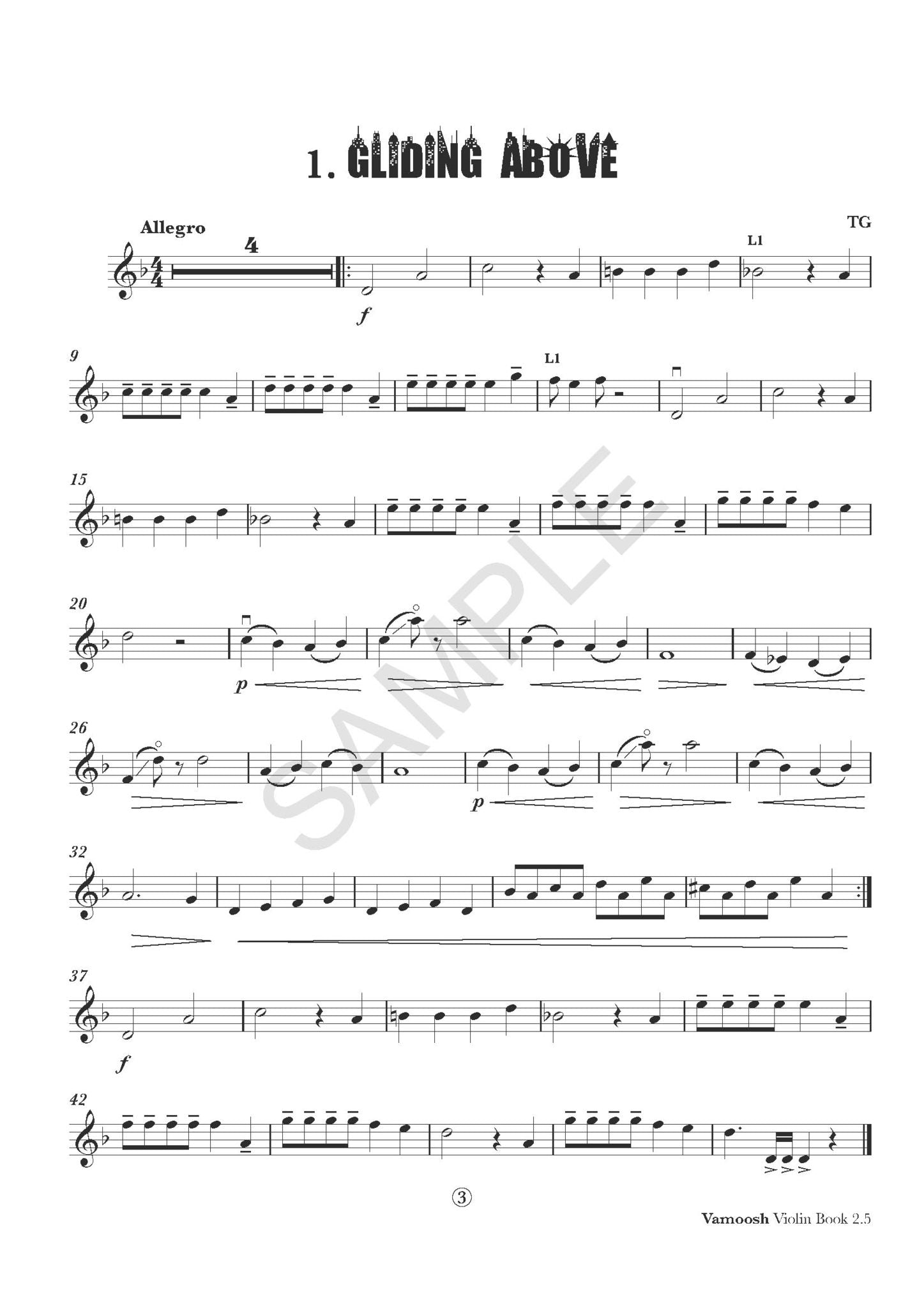 Vamoosh Violin Book 2.5