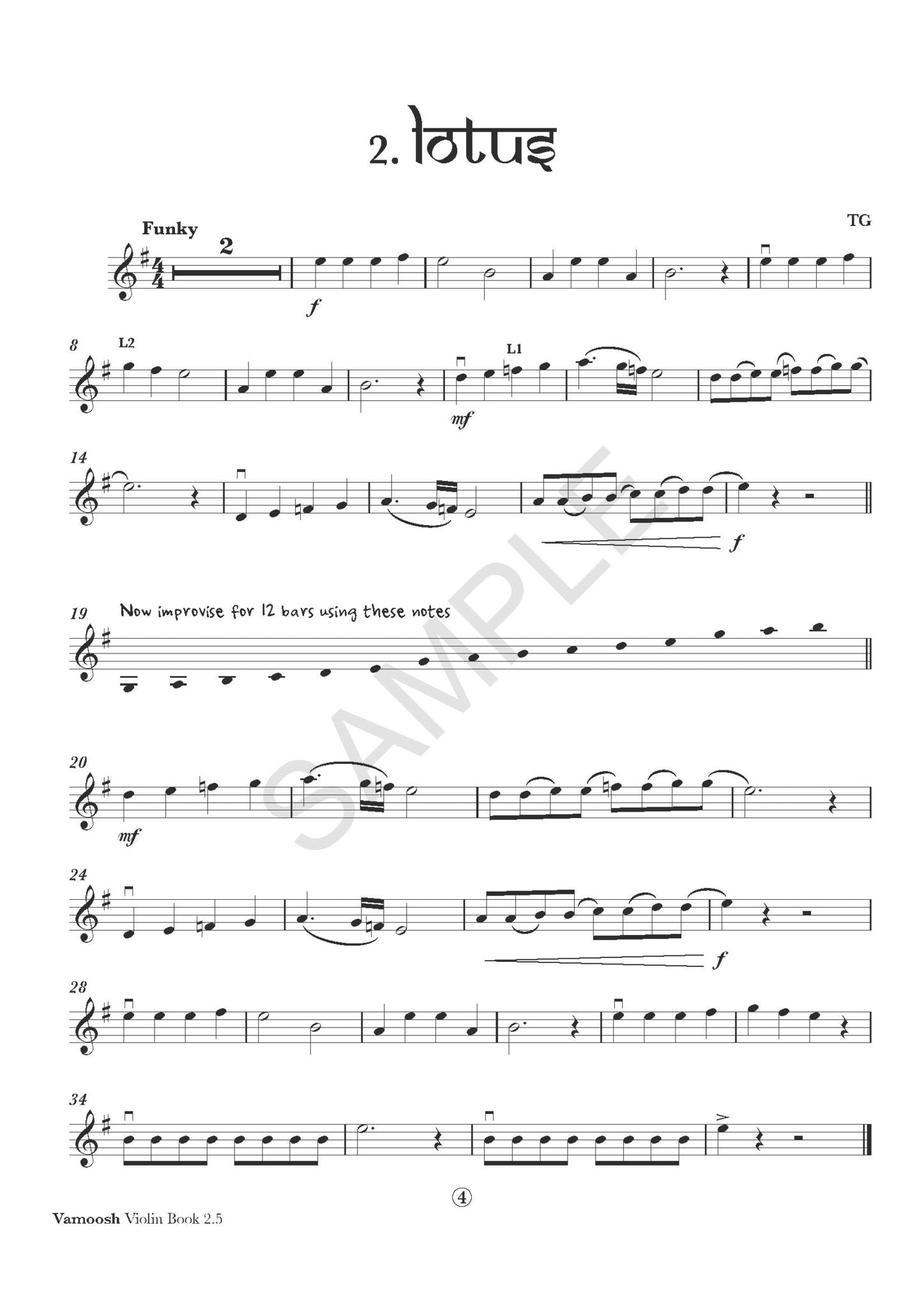 Vamoosh Violin Book 2.5