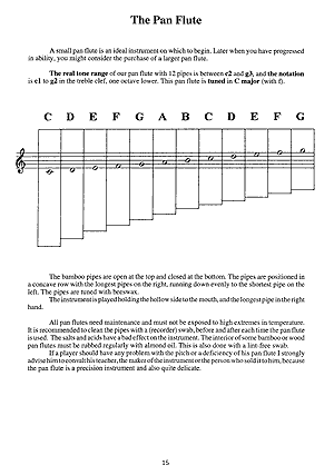 You Can Teach Yourself Pan Flute