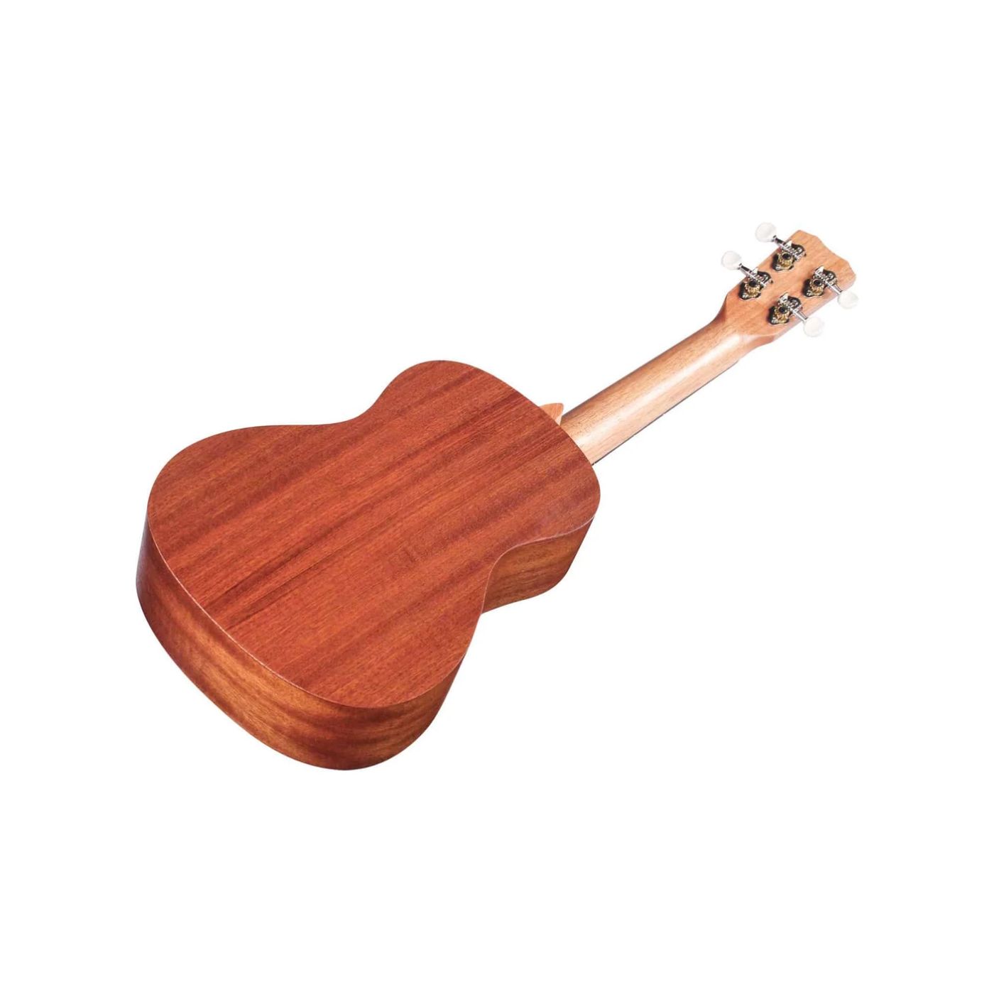 Cordoba U1 Protege Tenor Ukulele