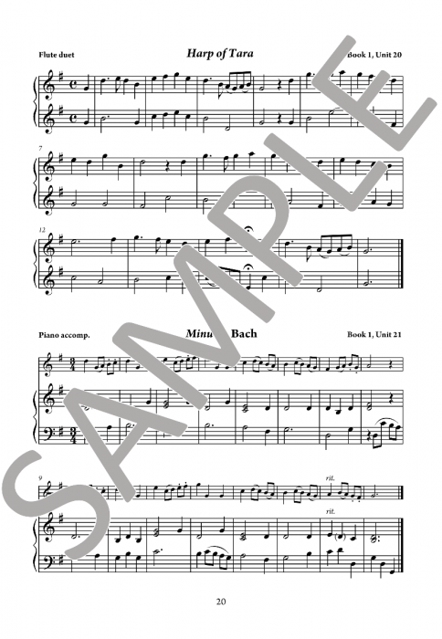 The Young Flute Player Book 3 - Teacher's Accompaniments