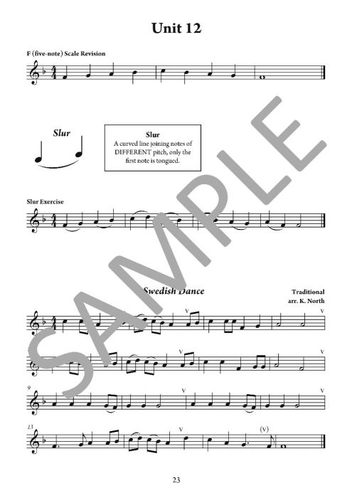 The Young Flute Player Book 6 - Adult Learners