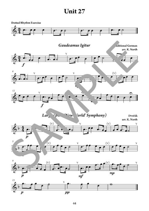 The Young Flute Player Book 6 - Adult Learners